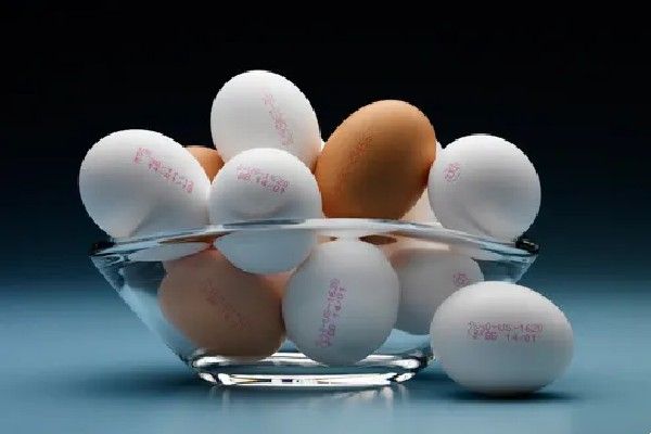 Egg