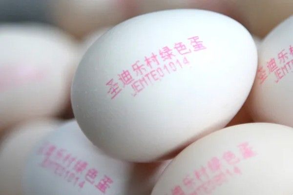 Egg